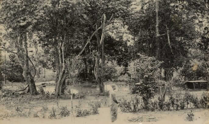 80 ปี สโมสรธรรมทาน – 90 ปี สวนโมกขพลาราม: จุดเริ่มการปฏิวัติพุทธศาสนาไทยโดยพุทธทาสภิกขุ 3 image11