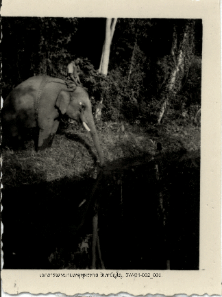 80 ปี สโมสรธรรมทาน – 90 ปี สวนโมกขพลาราม: จุดเริ่มการปฏิวัติพุทธศาสนาไทยโดยพุทธทาสภิกขุ 10 image3