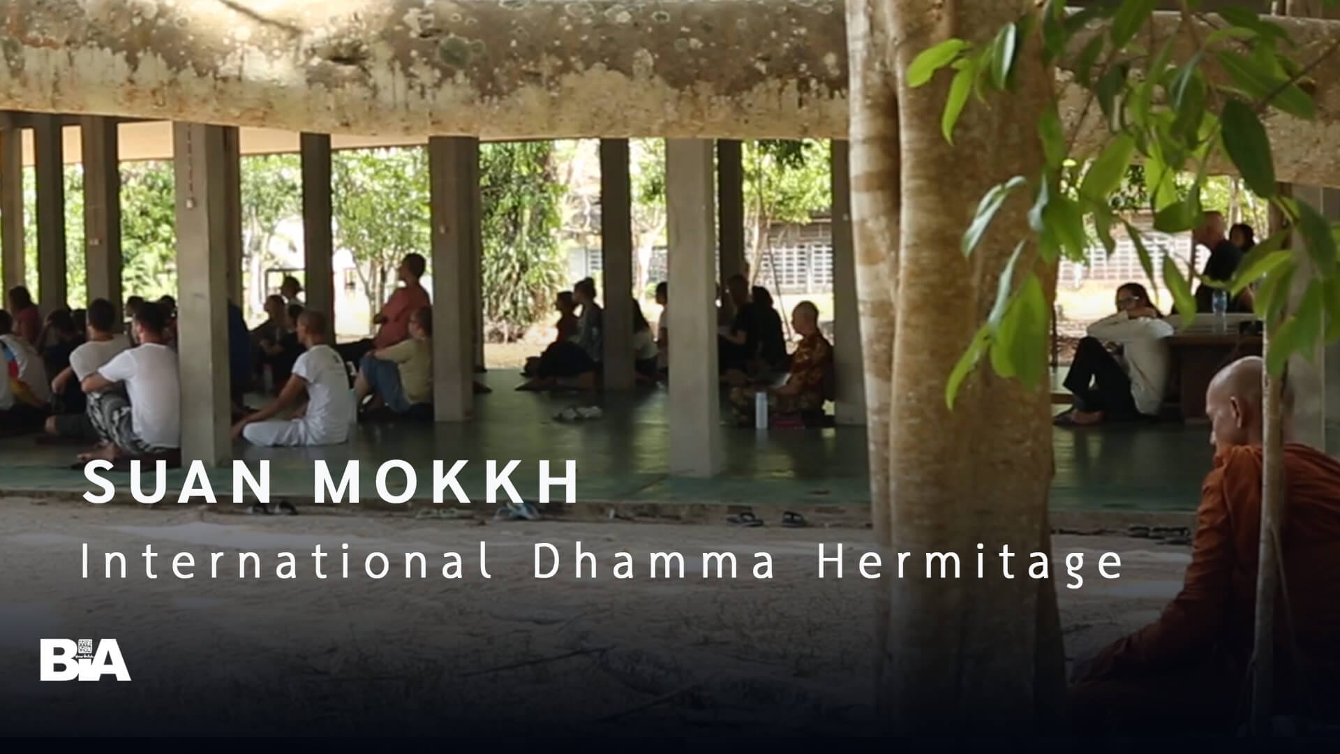 Highlight VDO-Suan Mokkh International-IDH