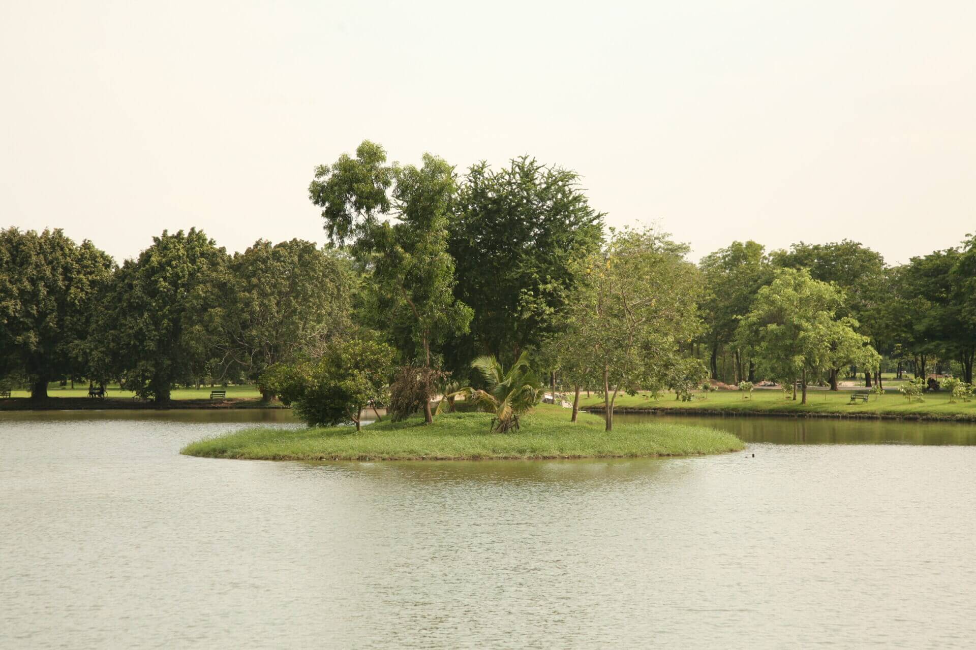 หลวงพ่อปัญญานันทะร่วมสมโภชการจัดตั้งหอจดหมายเหตุพุทธทาส อินทปัญโญ 2 IMG 0517