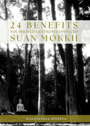 24 Benefits You Should Get from coming to Suan Mokkh