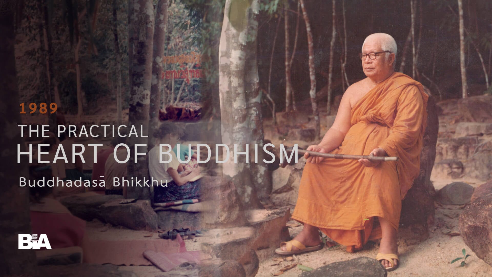 8909 The Practical Heart of Buddhism