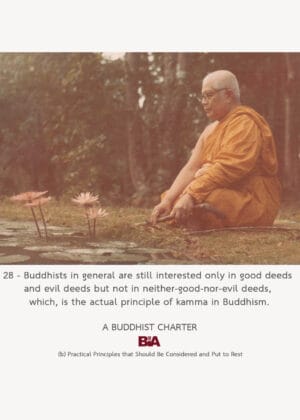 A Buddhist Charter (28)