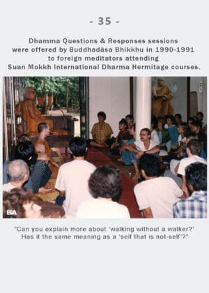 Dhamma Q&R IDH Retreat (35)