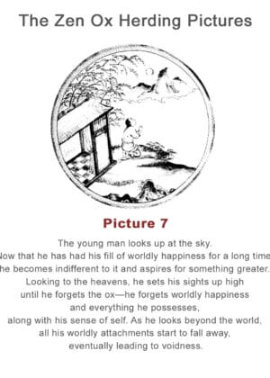 The Zen Ox Herding (7)