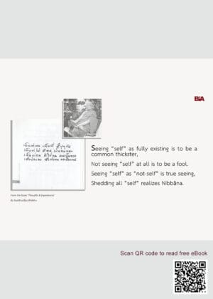 Thoughts&Experiences (10)